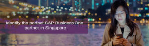 SAP Business One partner in Singapore