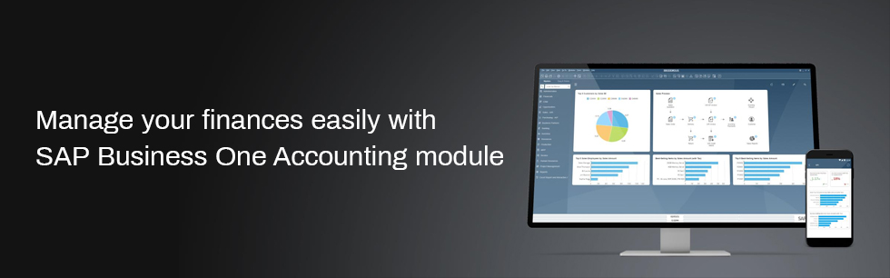 Manage your finances easily with SAP Business One Accounting module