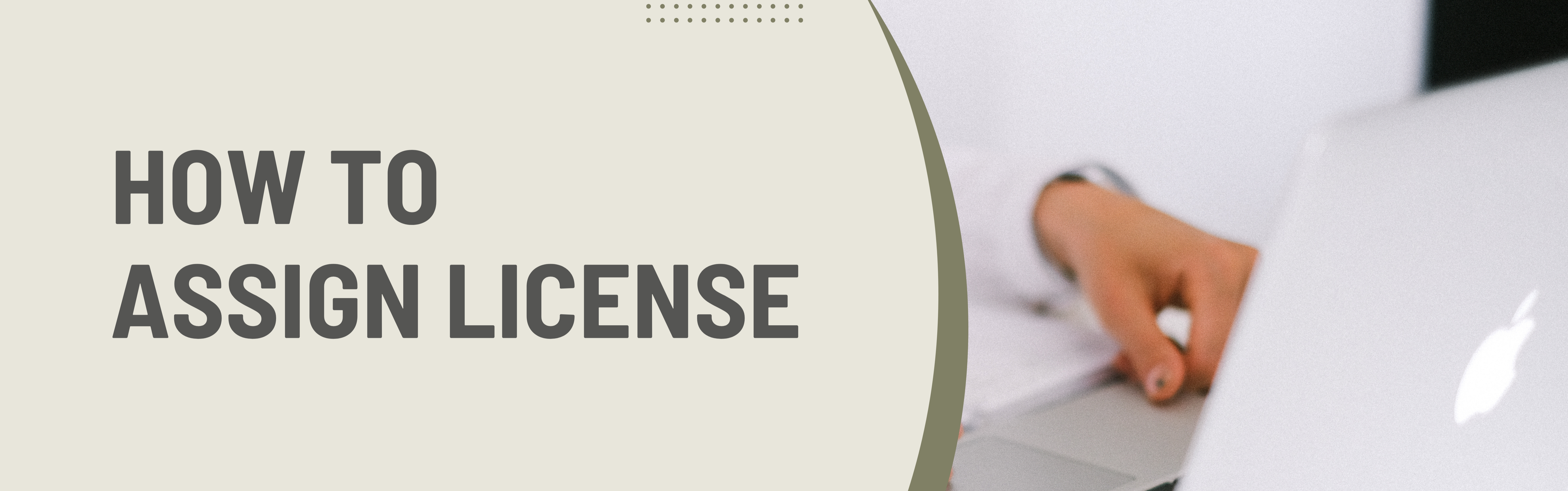 Steps to assign license in SAP Business One