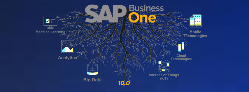 SAP Business One Function