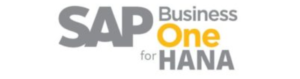 SAP Business One Version HANA