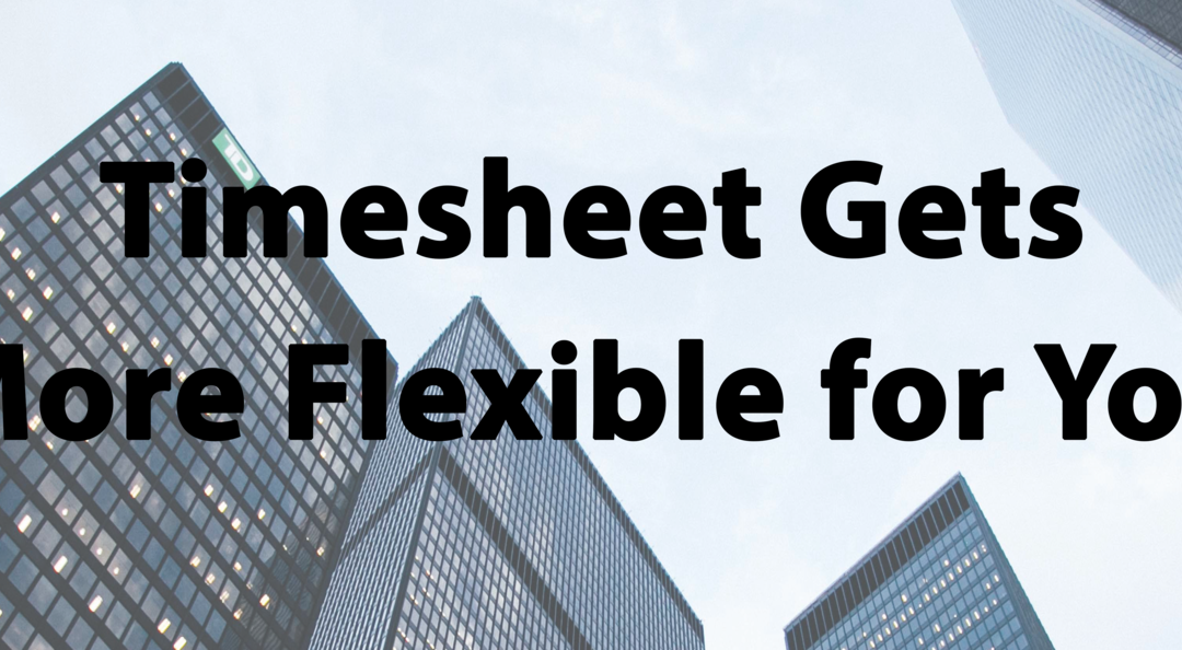 Tip #33: Timesheet Gets More Flexible for You