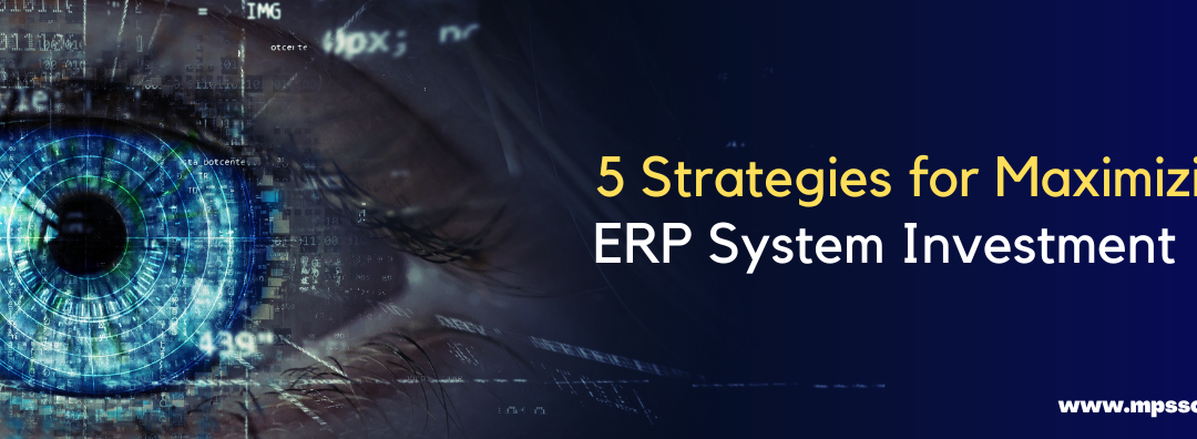 5 Strategies for Maximizing Your ERP System Investment